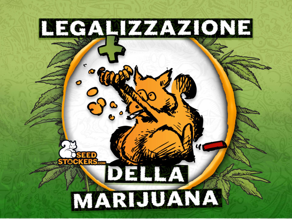 legalizzazione della marijuana