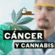cancro, Weedstockers
