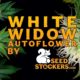 white widow, Weedstockers
