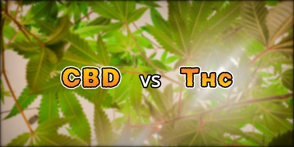 cbda cbga, Weedstockers