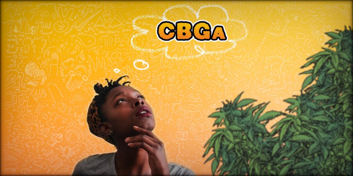 cbda cbga, Weedstockers
