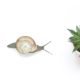 Tricoderma perche è utile nella coltivazione della cannabis, Weedstockers